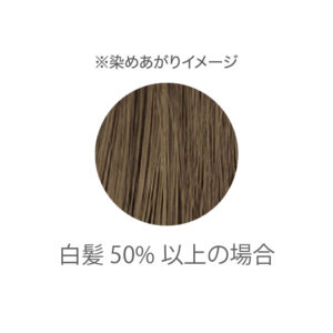 りせらのしずく / cocochia トリートメントヘナカラー ライトブラウン<トリートメント/植物性染毛料> / 100g