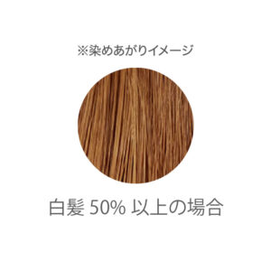 りせらのしずく / cocochia トリートメントヘナカラー オレンジブラウン<トリートメント/植物性染毛料> / 100g
