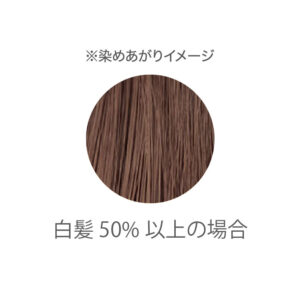 りせらのしずく / cocochia トリートメントヘナカラー スーパーブラウン<トリートメント/植物性染毛料> / 100g